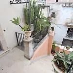 Panorama - Adults Only