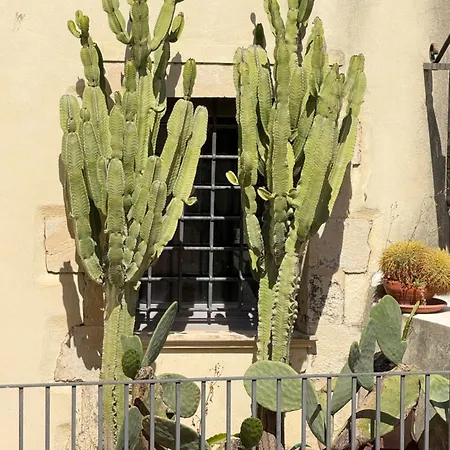 Panorama - Adults Only 3* Noto