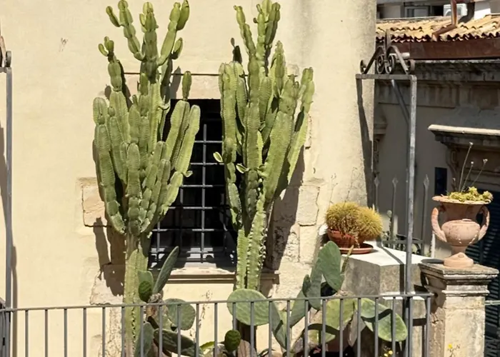 Panorama - Adults Only 3*