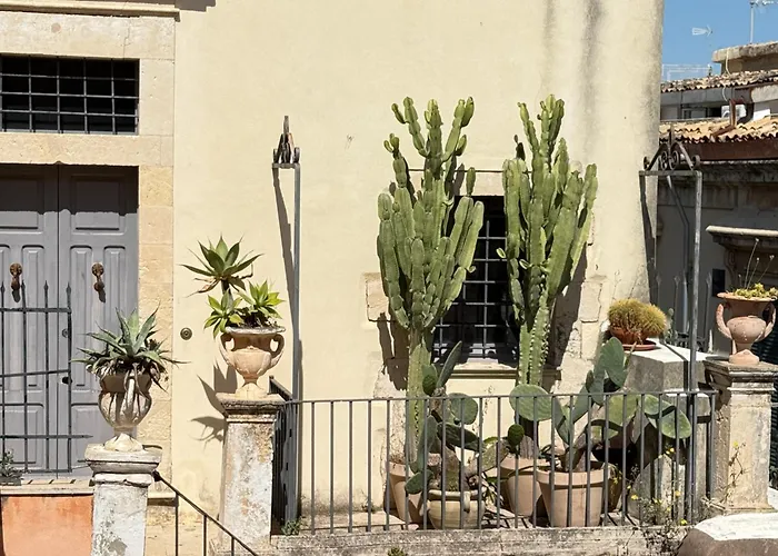 Panorama - Adults Only